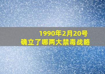 1990年2月20号确立了哪两大禁毒战略