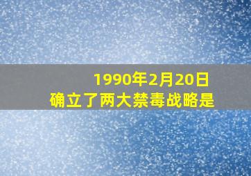 1990年2月20日确立了两大禁毒战略是