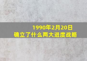 1990年2月20日确立了什么两大进度战略