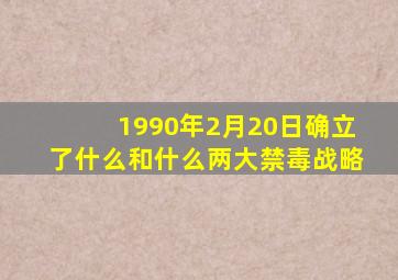 1990年2月20日确立了什么和什么两大禁毒战略