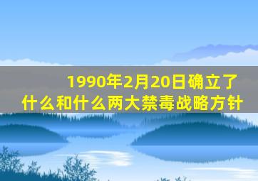 1990年2月20日确立了什么和什么两大禁毒战略方针