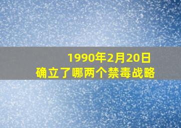 1990年2月20日确立了哪两个禁毒战略