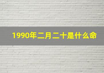 1990年二月二十是什么命