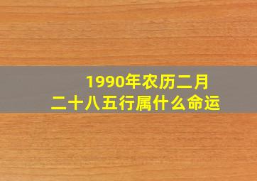 1990年农历二月二十八五行属什么命运