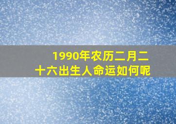 1990年农历二月二十六出生人命运如何呢