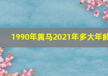 1990年属马2021年多大年龄