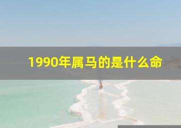 1990年属马的是什么命