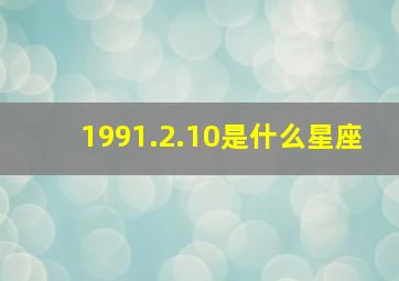 1991.2.10是什么星座