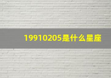 19910205是什么星座