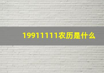 19911111农历是什么