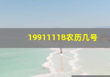 19911118农历几号