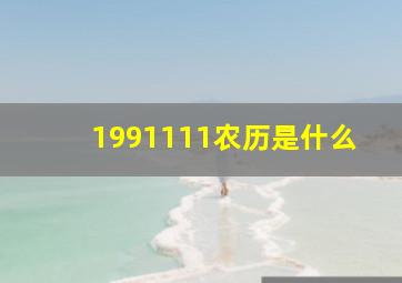 1991111农历是什么