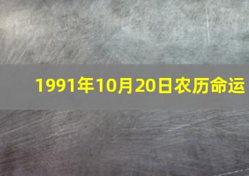 1991年10月20日农历命运