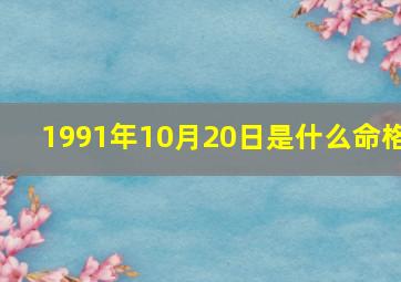 1991年10月20日是什么命格