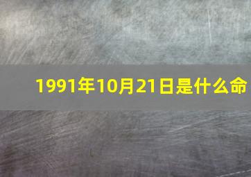 1991年10月21日是什么命