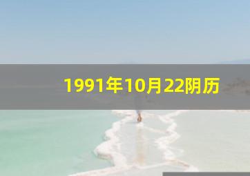 1991年10月22阴历