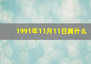 1991年11月11日属什么