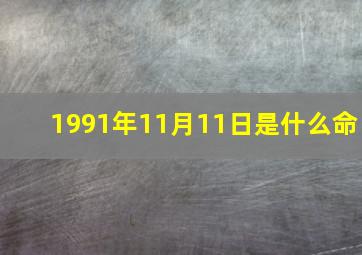 1991年11月11日是什么命