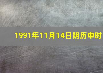 1991年11月14日阴历申时