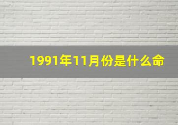 1991年11月份是什么命