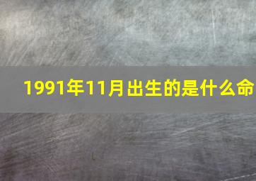 1991年11月出生的是什么命