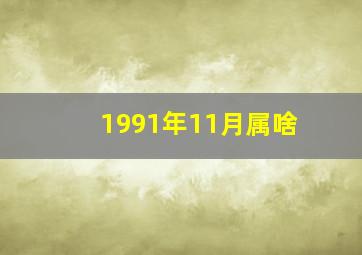 1991年11月属啥