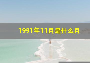 1991年11月是什么月