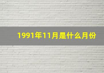 1991年11月是什么月份