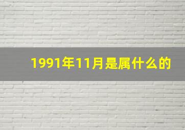 1991年11月是属什么的