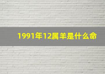 1991年12属羊是什么命