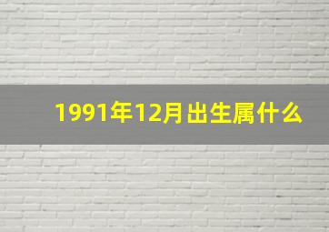 1991年12月出生属什么