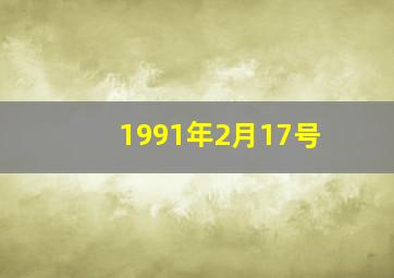 1991年2月17号