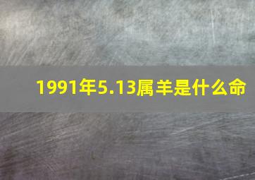 1991年5.13属羊是什么命