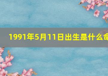 1991年5月11日出生是什么命