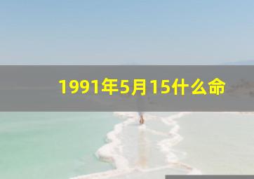 1991年5月15什么命