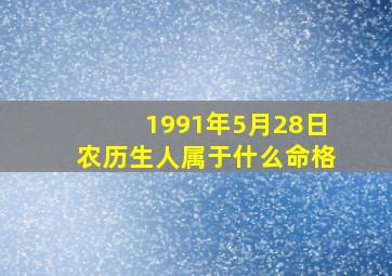 1991年5月28日农历生人属于什么命格