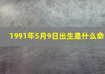 1991年5月9日出生是什么命