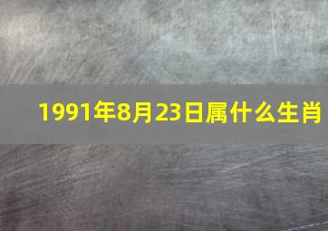 1991年8月23日属什么生肖