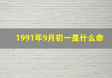 1991年9月初一是什么命