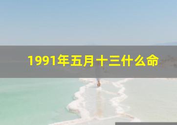 1991年五月十三什么命