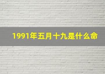 1991年五月十九是什么命