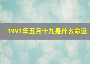 1991年五月十九是什么命运