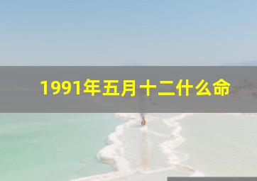 1991年五月十二什么命