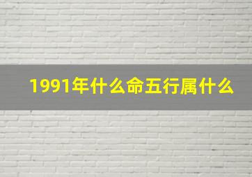 1991年什么命五行属什么