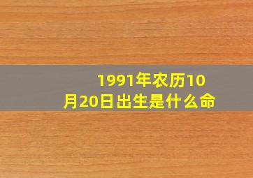 1991年农历10月20日出生是什么命