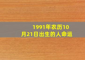 1991年农历10月21日出生的人命运