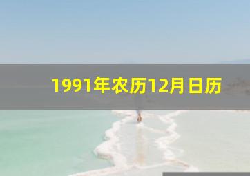 1991年农历12月日历