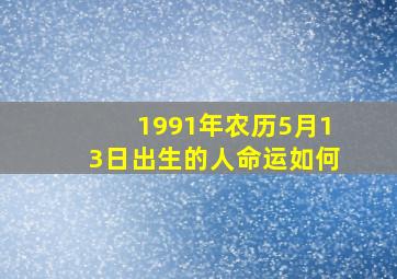 1991年农历5月13日出生的人命运如何