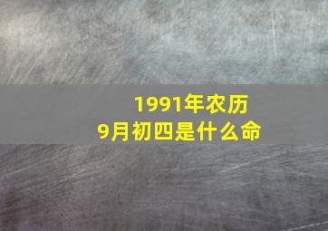 1991年农历9月初四是什么命