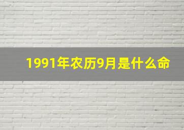 1991年农历9月是什么命